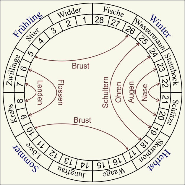 Nakshatras - Shishumara - Delphin