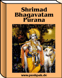 Das Shiva Purana